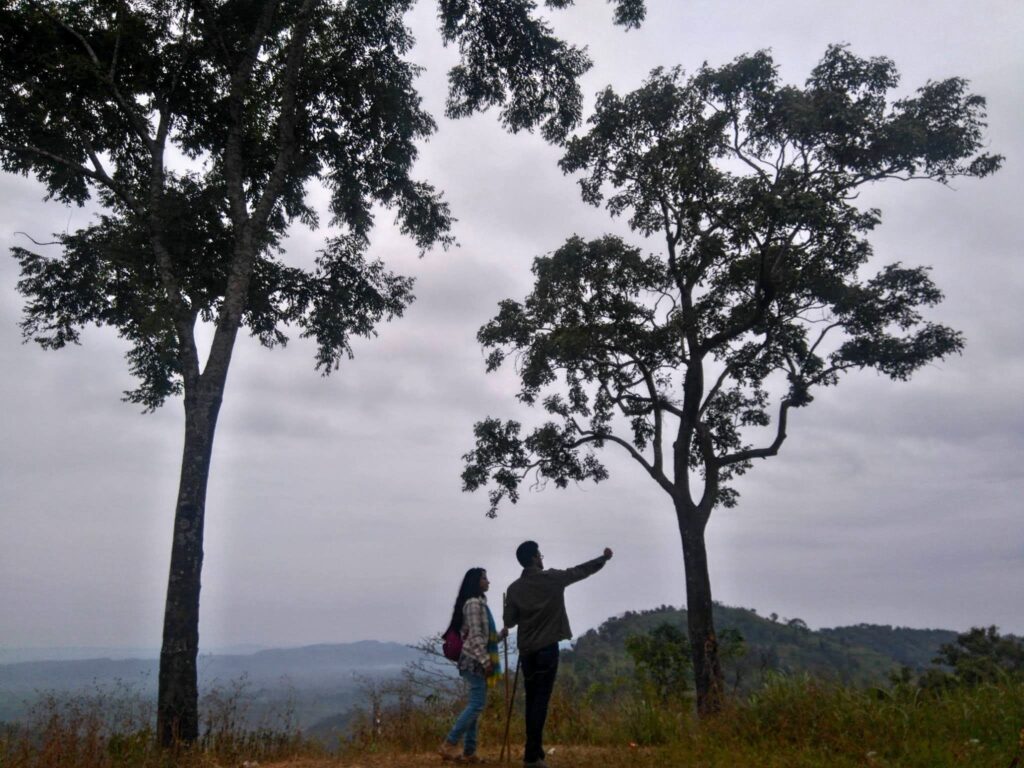 nature 1